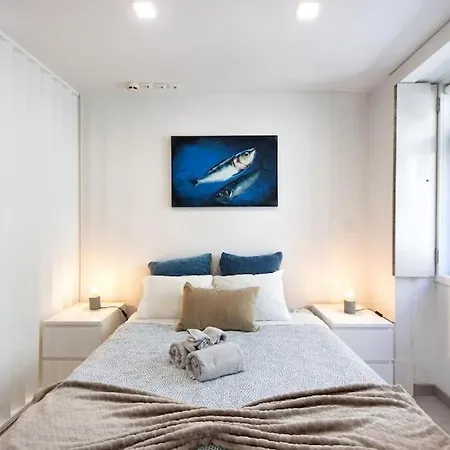 Apartman Spacious In Center In Lively Area *